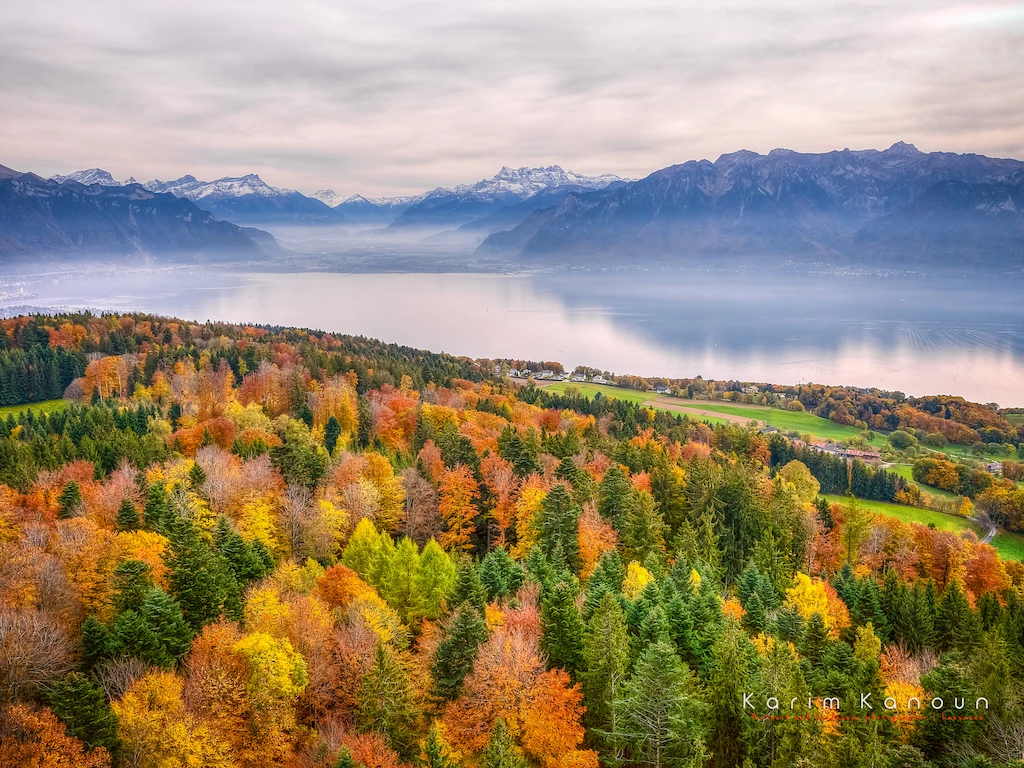 Autumn Symphony